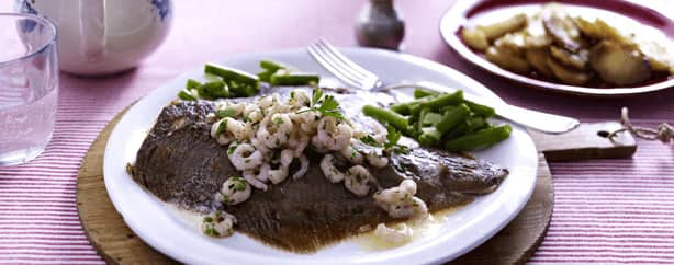 Schollenröllchen mit Krabbensoße Rezept - REWE.de